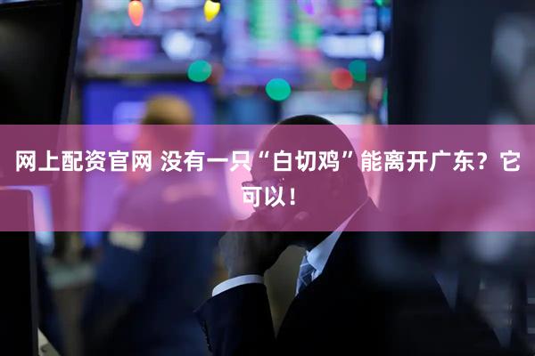 网上配资官网 没有一只“白切鸡”能离开广东？它可以！